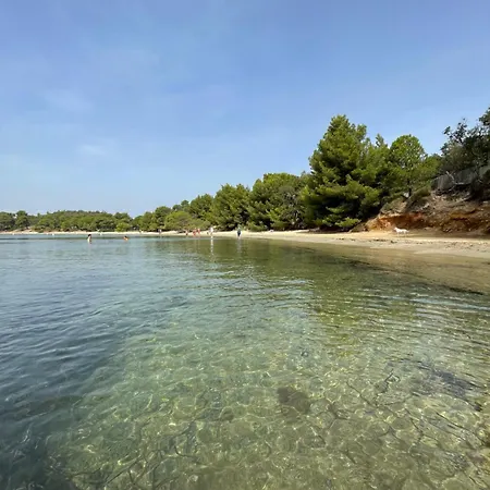 Apartment Piscine Et Tennis Inclus La Londe-les-Maures